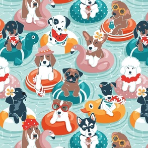Summer pool pawty // normal scale // aqua background dog breeds in vacations playing on swimming pool floats // Labrador beagle dachshund jack Russell Dalmatian welsh corgi pug greyhound basset hound husky 