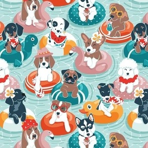 Small scale // Summer pool pawty // aqua background dog breeds in vacations playing on swimming pool floats // Labrador beagle dachshund jack Russell Dalmatian welsh corgi pug greyhound basset hound husky 