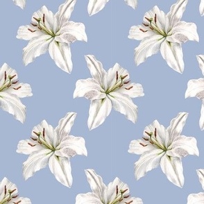 White Watercolor Lily, Light Blue, MEDIUM