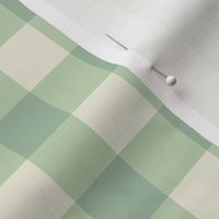 Soft Green Gingham - 1 inch