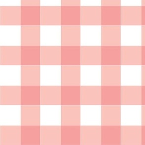 Soft Pink Gingham - 1 inch