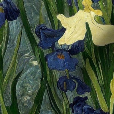 Irises of Van Gogh