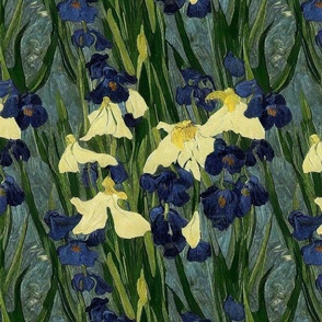 Irises of Van Gogh