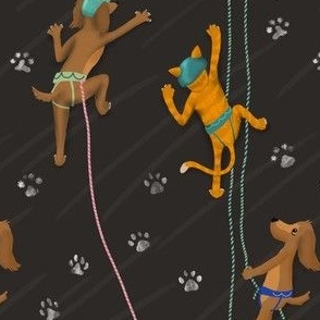 Rock Climbing Cats and Dogs