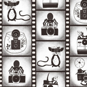 Pets and Vintage Cameras