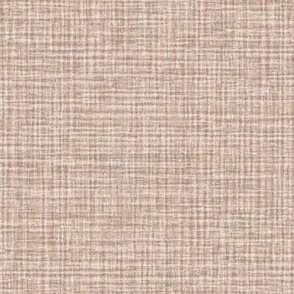 Solid Beige Plain Beige Natural Texture Small Stripes and Checks Grunge Earth Tones Sand Ivory Brown Beige CEB6A3 Subtle Modern Abstract Geometric