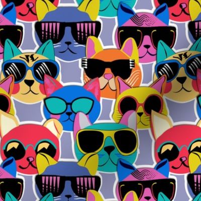 Cats in Sunglasses