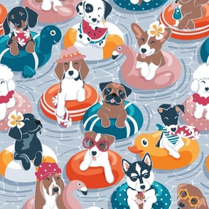 Normal scale // Summer pool pawty // pastel blue background dog breeds in vacations playing on swimming pool floats // Labrador beagle dachshund jack Russell Dalmatian welsh corgi pug greyhound basset hound husky 