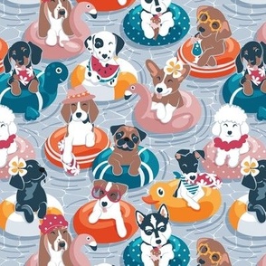 Small scale // Summer pool pawty // pastel blue background dog breeds in vacations playing on swimming pool floats // Labrador beagle dachshund jack Russell Dalmatian welsh corgi pug greyhound basset hound husky 