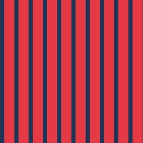 Red and navy blue vertical summer stripes 