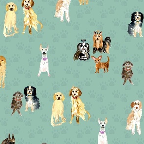 Green paws Variety dog pattern Directional 