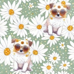 Cute dog  in a field of daisies