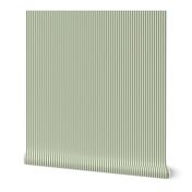 Stripe Binding - Sage / Natural - 1/4"