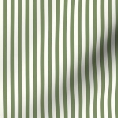 Stripe Binding - Sage / Natural - 1/4"