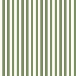 Stripe Binding - Sage / Natural - 1/4"
