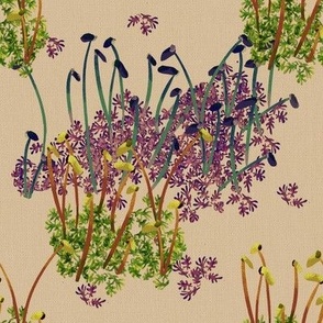 moss beauty lilac