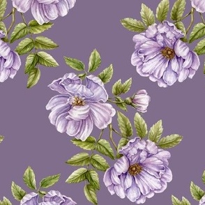 Violet Watercolor Roses, MEDIUM