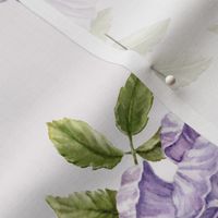 Violet Watercolor Roses, Light background, LARGE