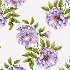 Violet Watercolor Roses, Light background, MEDIUM