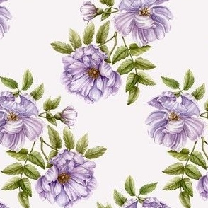 Violet Watercolor Roses, Light background, SMALL
