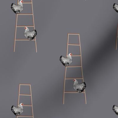 Roosting Ladder
