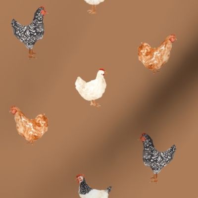 Chickens  with Ground Background 