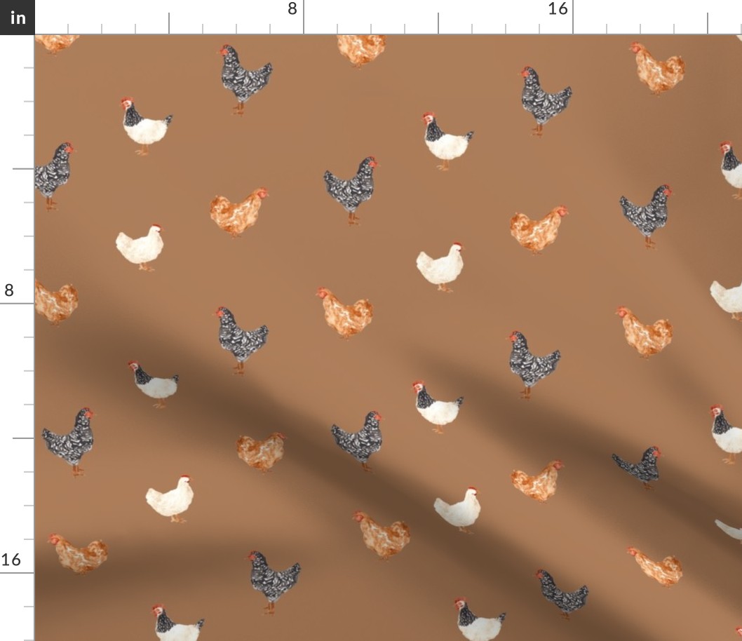 Chickens  with Ground Background 