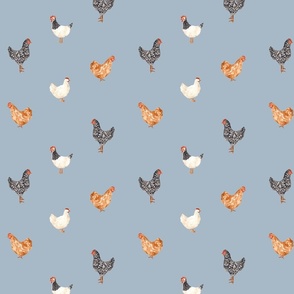 Chickens with Pale Blue background