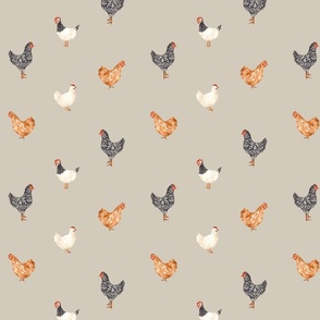 Chickens with Sand Background