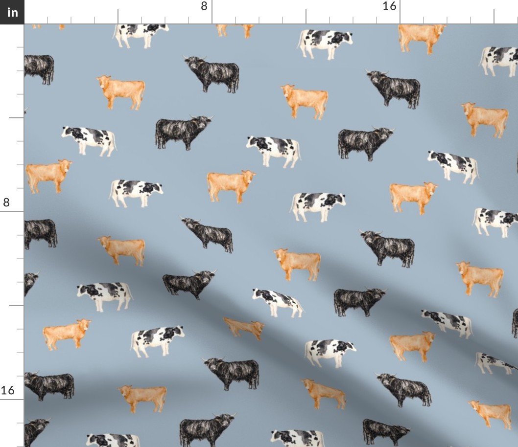 Cows with Pale Blue Background