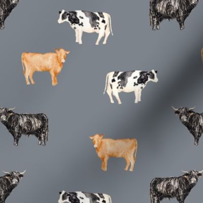 Cows with Storm Background 