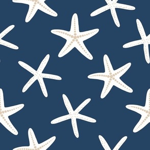 Ocean starfish on blue (small)