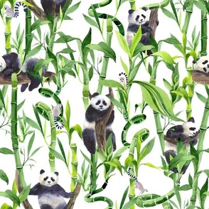 Peek-a-boo Pandas and Lemurs