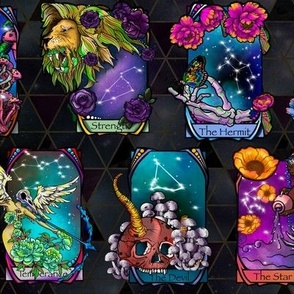 Zodiac Tarot and Astrology signs