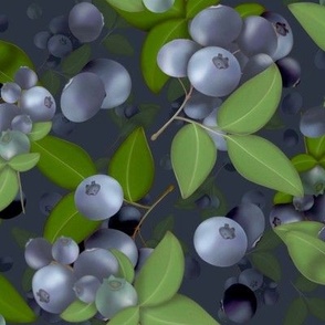 Blueberries on a dark blue background