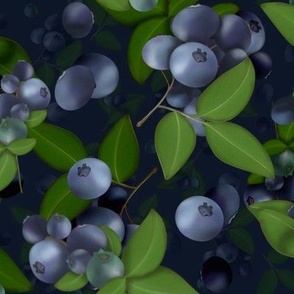 Blueberries on a rich blue background