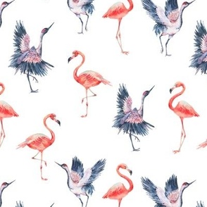 Flamingo and crane birds on white