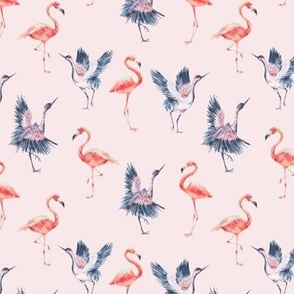 Pink flamingo and crane birds