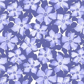 Periwinkle garden - Medium