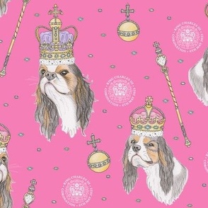 King Charles Spaniel with Coronation Emblem - pink