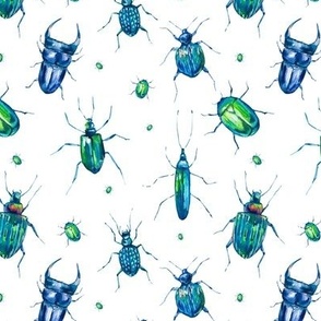 Green blue beetles