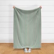 Beach Towel Stripes / Tropical Teal Medium