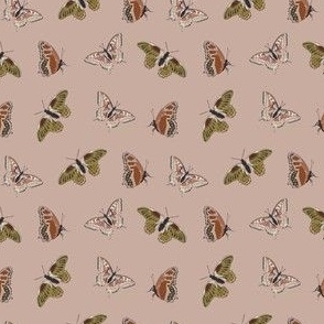 3x3 Butterflies - Small Scale Retro Butterfly - Line Art/Blush Pink - Pink Butterflies - Butterflies Aesthetic 