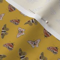 3x3 Butterflies - Small Scale Retro Butterfly - Line Art Butterfly/Yellow - Pink Butterflies - Butterflies Aesthetic