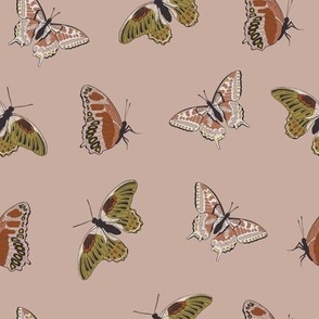 9x9 Butterflies - Medium Scale - Retro Butterfly - Line Art Butterfly/Blush Pink - Pink Butterflies - Butterflies Aesthetic