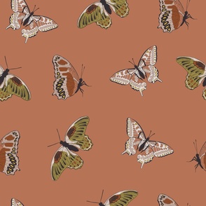 24x24 JUMBO Scale Butterflies - Wallpaper with Butterflies - Wallpaper Cure - Peel and Stick Wallpaper - Butterfly Nursery