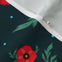 Red poppies on a dark teal background