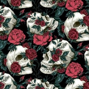 Skulls 'n Roses