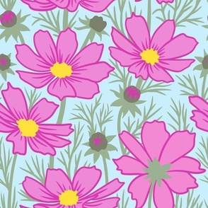 Pink Cosmos Flowers on Blue Background
