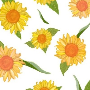 Sunflower Summer Time Hand Drawn Pattern